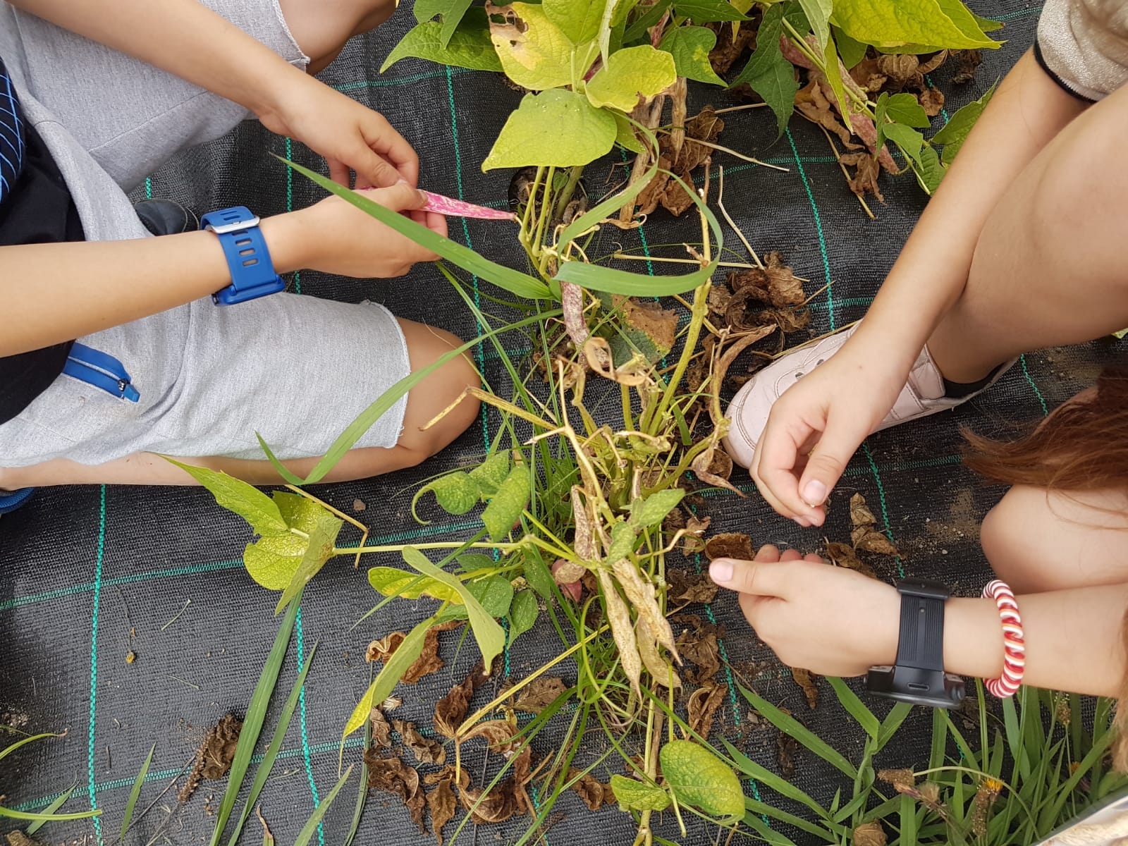 Feature School Portugal